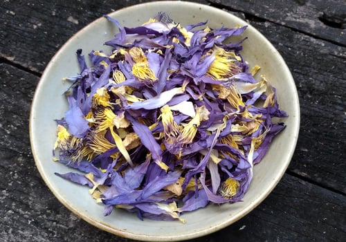 Image of BLUE LOTUS spagyric tincture - alchemically enhanced plant extraction