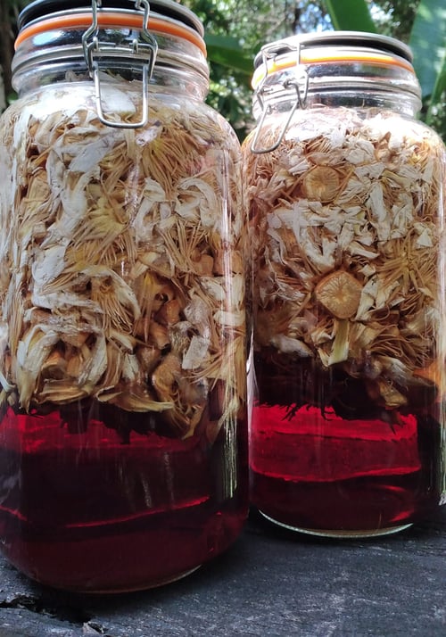 Image of BLUE LOTUS spagyric tincture - alchemically enhanced plant extraction