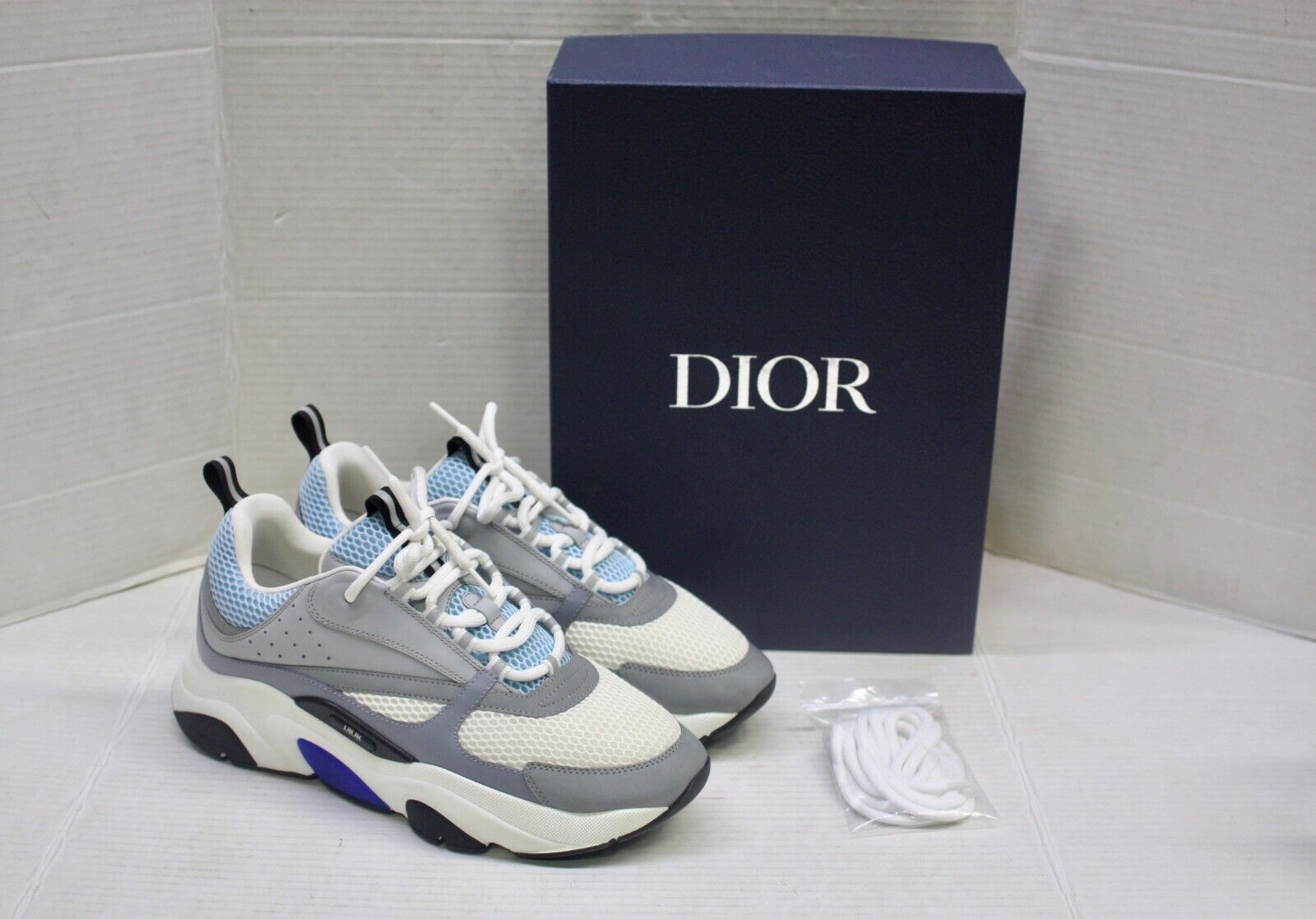 Image of Dior B22 White and Blue