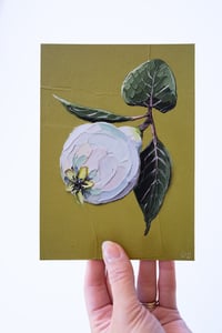 Image 2 of QUINCE - GICLÉE PRINT