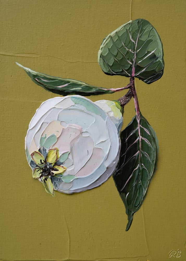 Image of QUINCE - GICLÉE PRINT