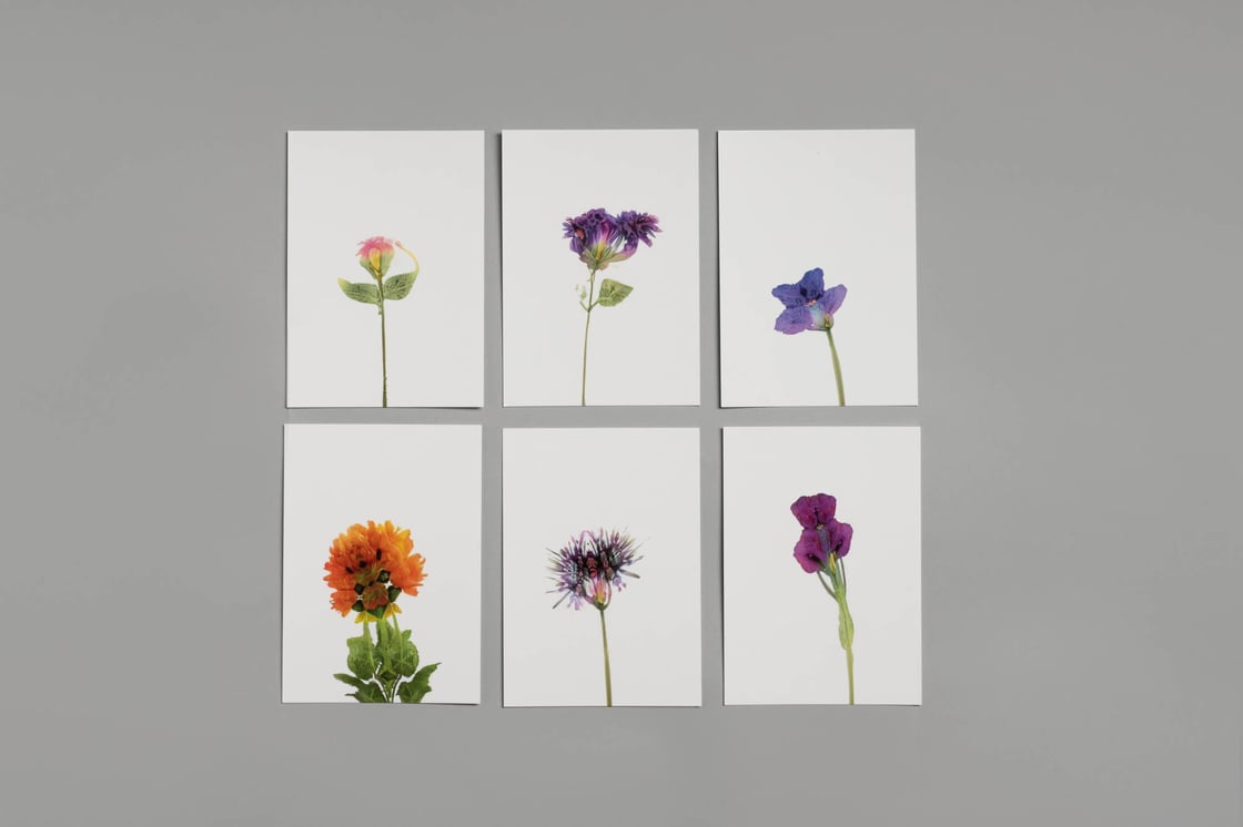 Image of Artificial flowers postcards