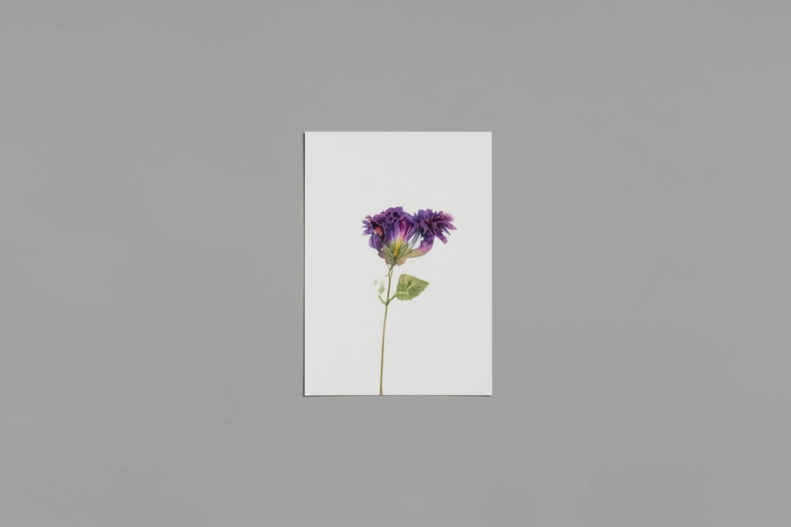 Image of Artificial flowers postcards