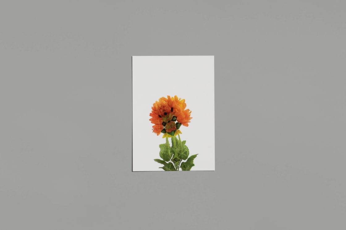 Image of Artificial flowers postcards