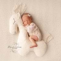 POSING PILLOW HORSE I.