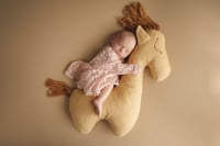 POSING PILLOW HORSE II.