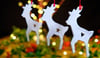 Reindeer Christmas decoration