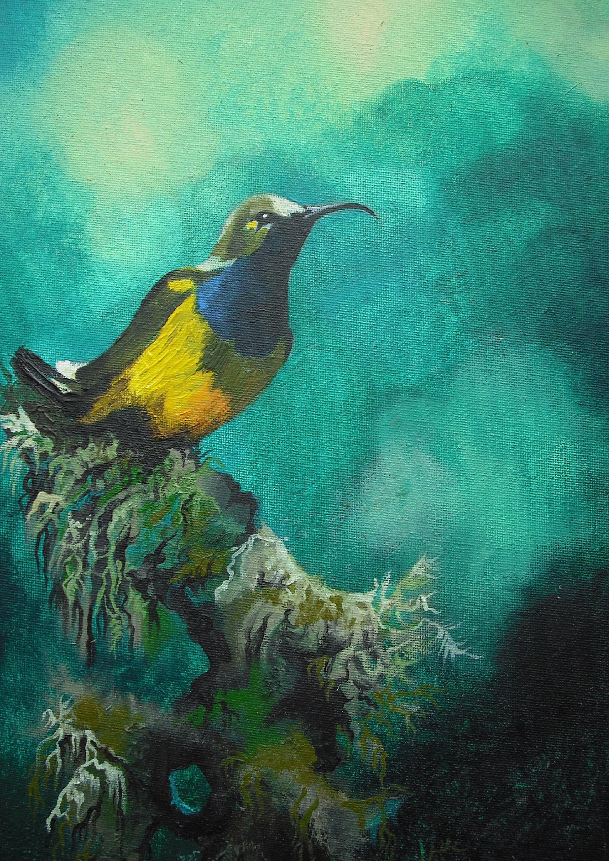 Image of Sunbird