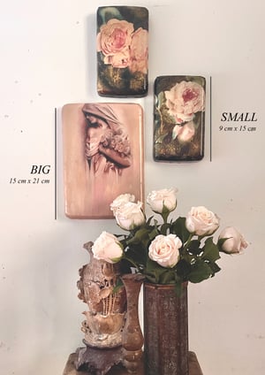 Image of Roses of Venus