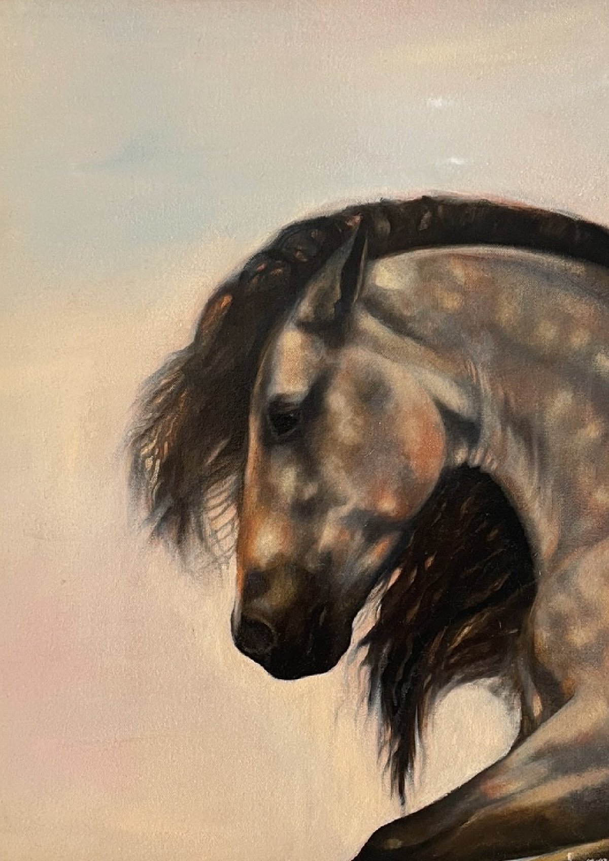 Image of Buckskin
