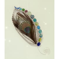 Peacock Feather