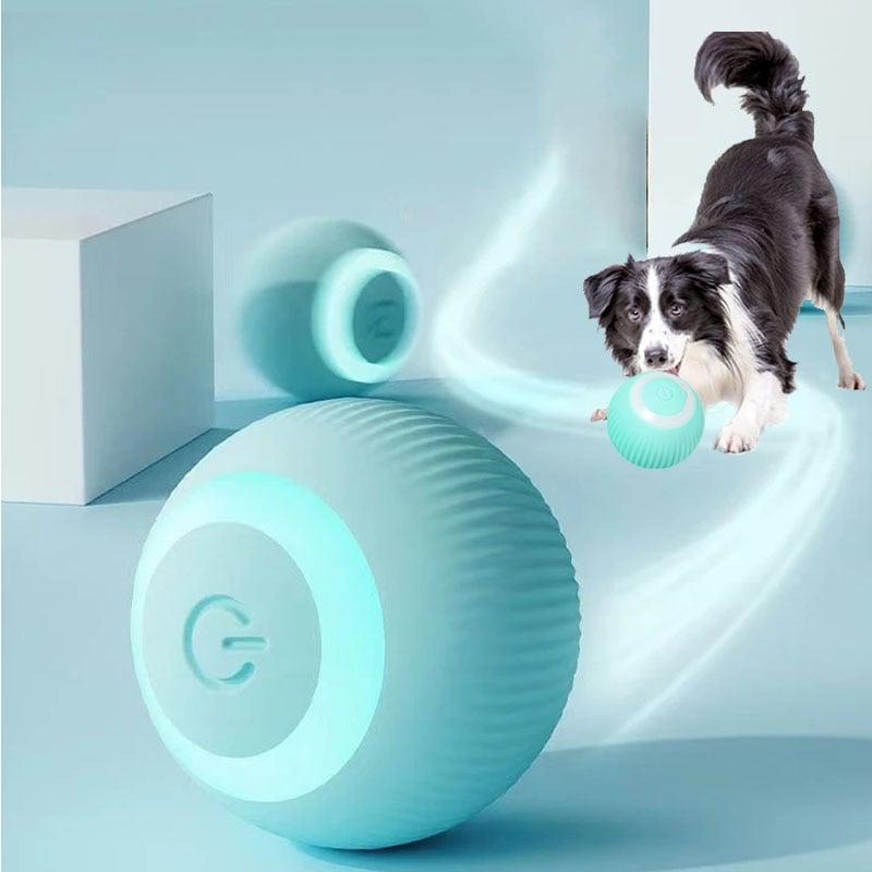 Image of PUPWORLD™  ACTIVE ROLLING BALL