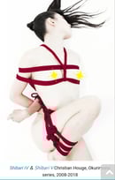 Image 3 of "Shibari" Multimedia Hoop Art