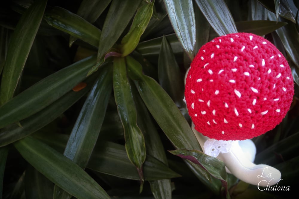Image of Moss- 8.5 inch Little Mushroom Baby