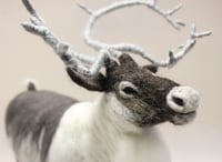 Image 2 of Original Reindeer wool sculpture