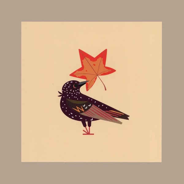 Image of Starling’s Star Postcard Print