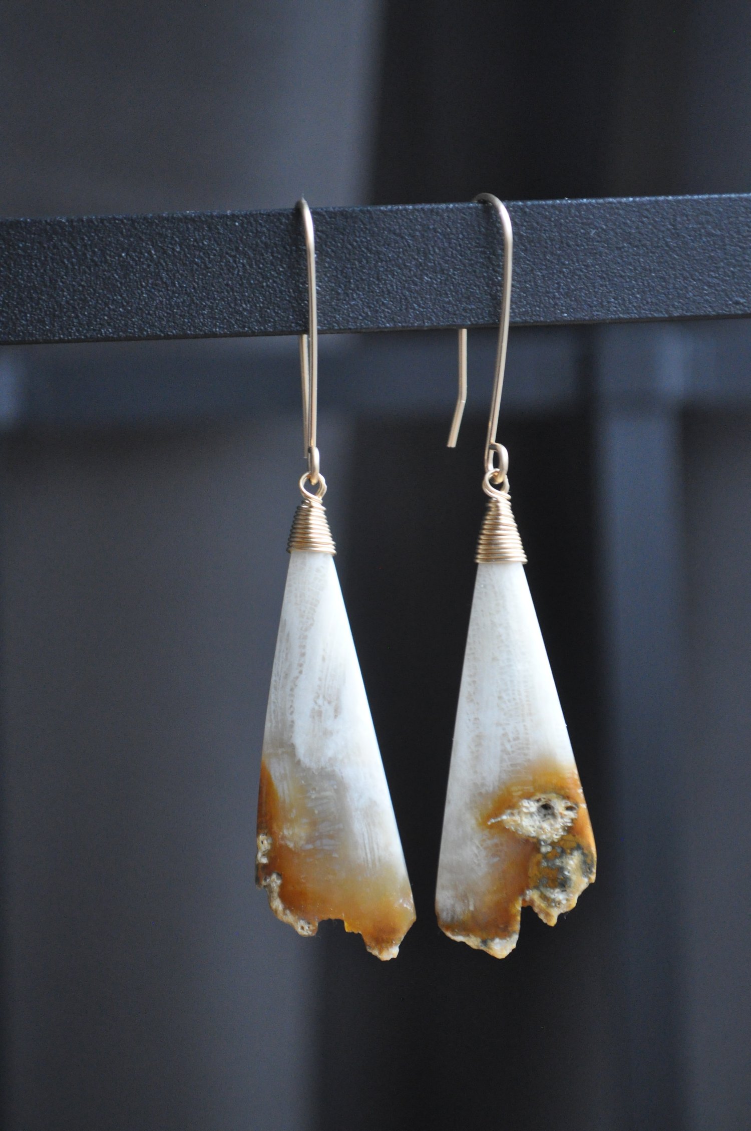 Image of OOAK Indonesian Fossil Coral Dangles on Gold Fill