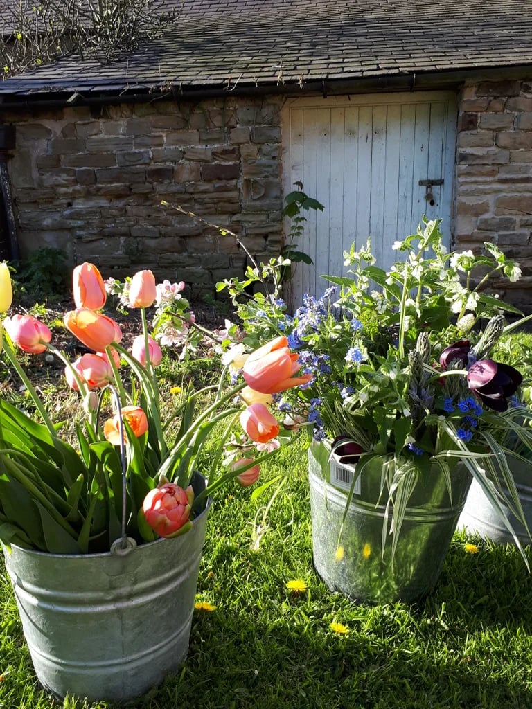 Image of Spring Tulip Workshop