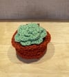 Crochet Succulent