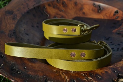 Dog Leads