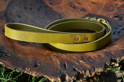Dog Leads