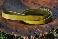 Image 4 of Dog Leads 