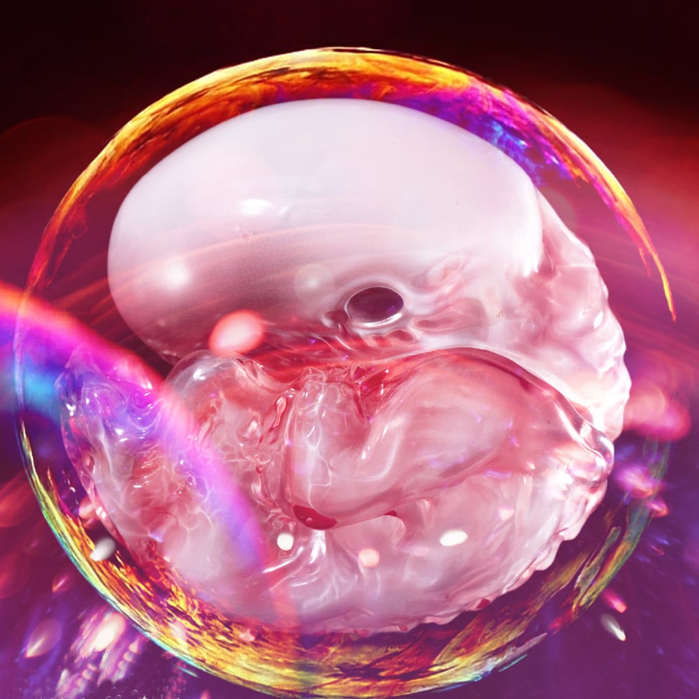Image of SPLATTERHOUSE EGG OVA