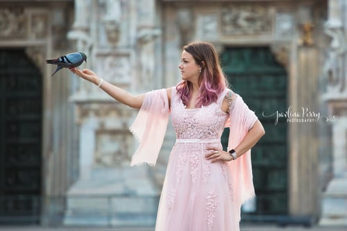 Image of INTERNATIONAL