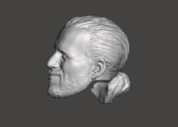 Image 2 of Artist Spotlight - Adam Cole  (The NWF) - 3D Printed Head