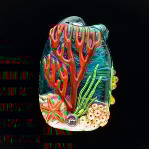 Image of XXL. Scotch Broom Clownfish Anemone - Flamework Sculpture 