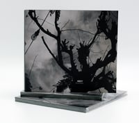 Image 2 of NBDY – Woods & Wires (CD) [OXEN079]