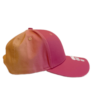 FFITTING ROOM Gradient Cap