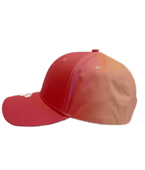 FFITTING ROOM Gradient Cap