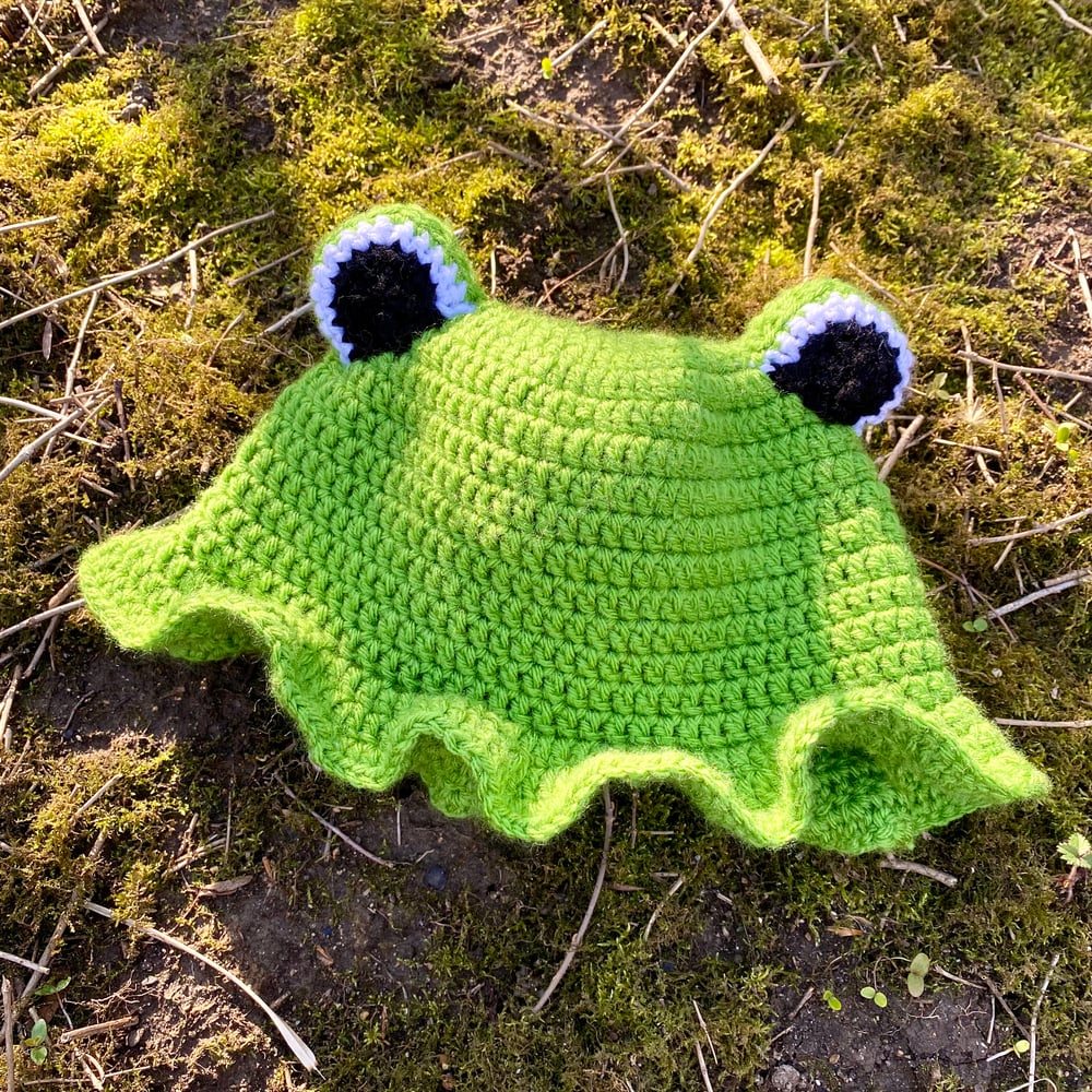 Image of frog hat