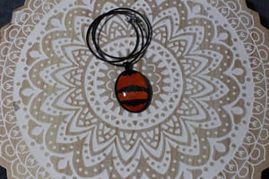 Image of Ground Snake Collection