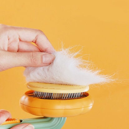 Image of Self Cleaning Pet Brush