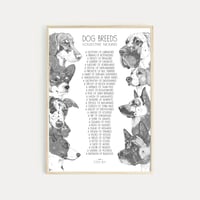 Image 1 of Dog Breeds - Collective Nouns