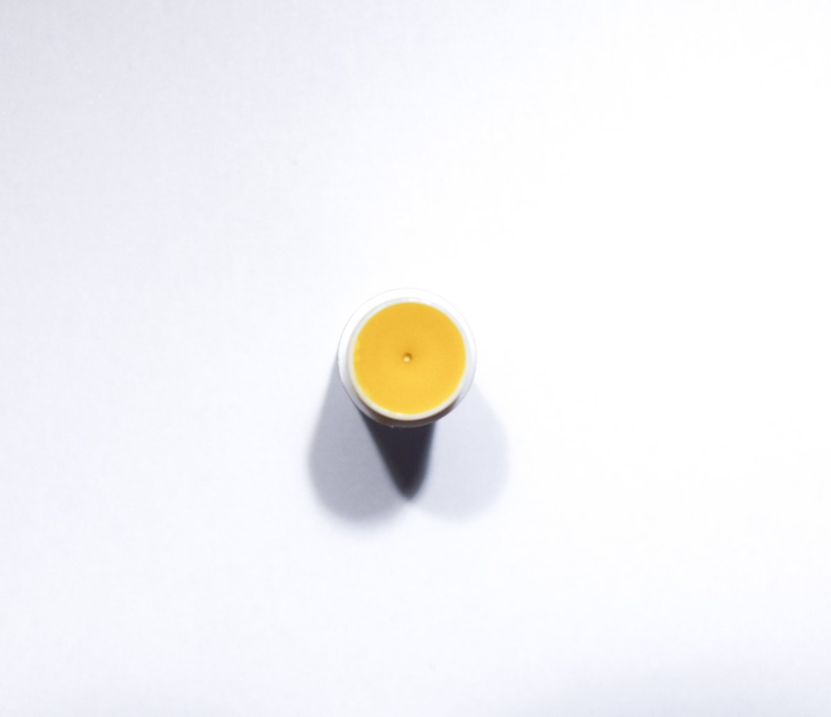 Image of Nourish and Protect Lip Balm 4.3g