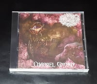 Image 1 of Thaumaturgy - Charnel Gnosis - CD