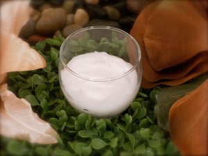 Image of Coconut Hair Milk