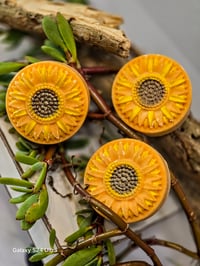 Image 3 of Sunshine Seasalt