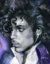 Canvas Print / "Curls" from Original Dan Lacey Painting