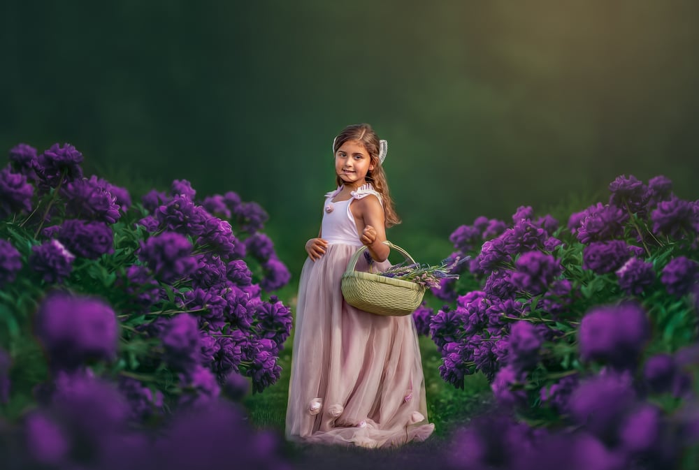 Additional Fine Art Image