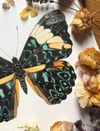 Turquoise cracker