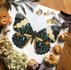 Turquoise cracker