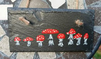 Image 3 of Fly agaric 