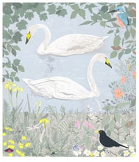 Swans screen print