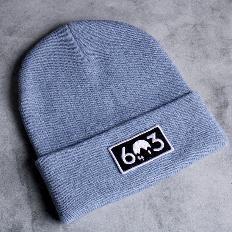 Image of 603 Light Blue winter beanie