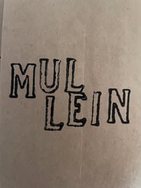 mullein 