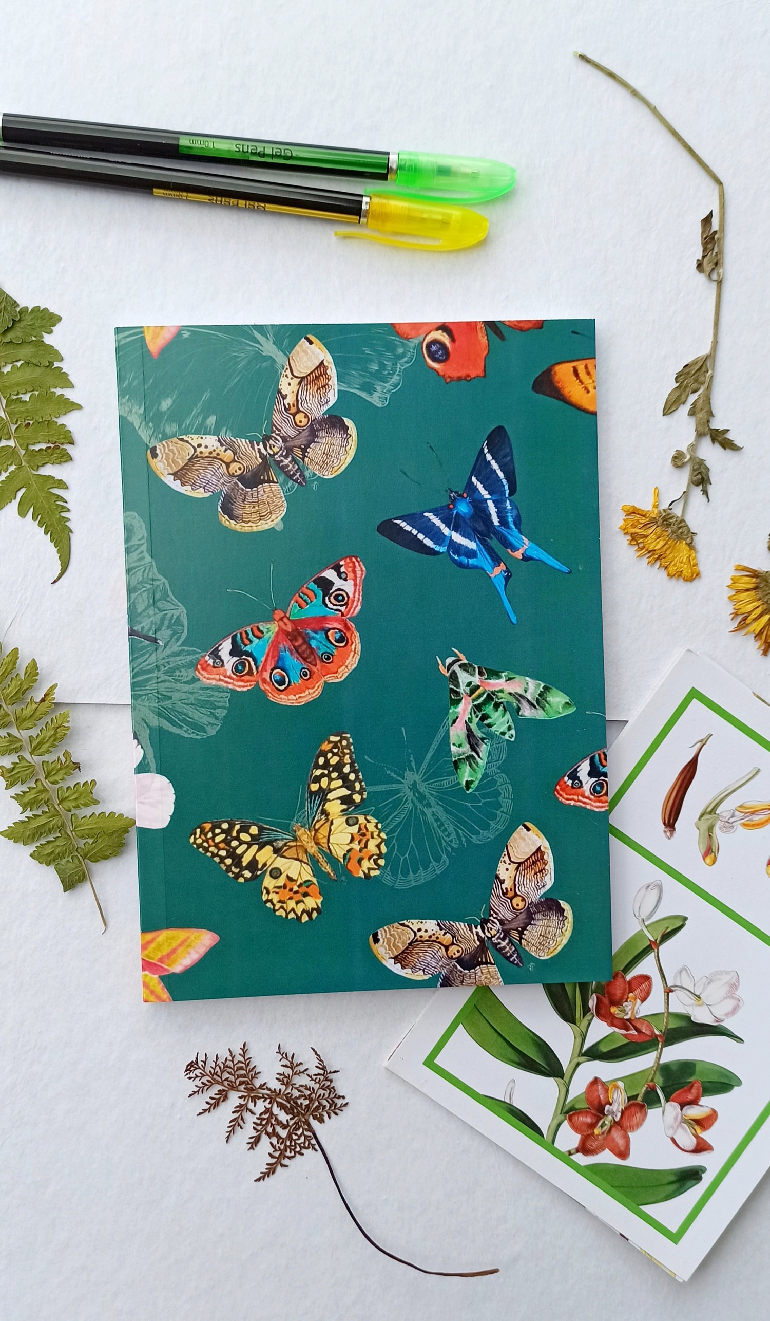 Image of Butterflies Notebook 